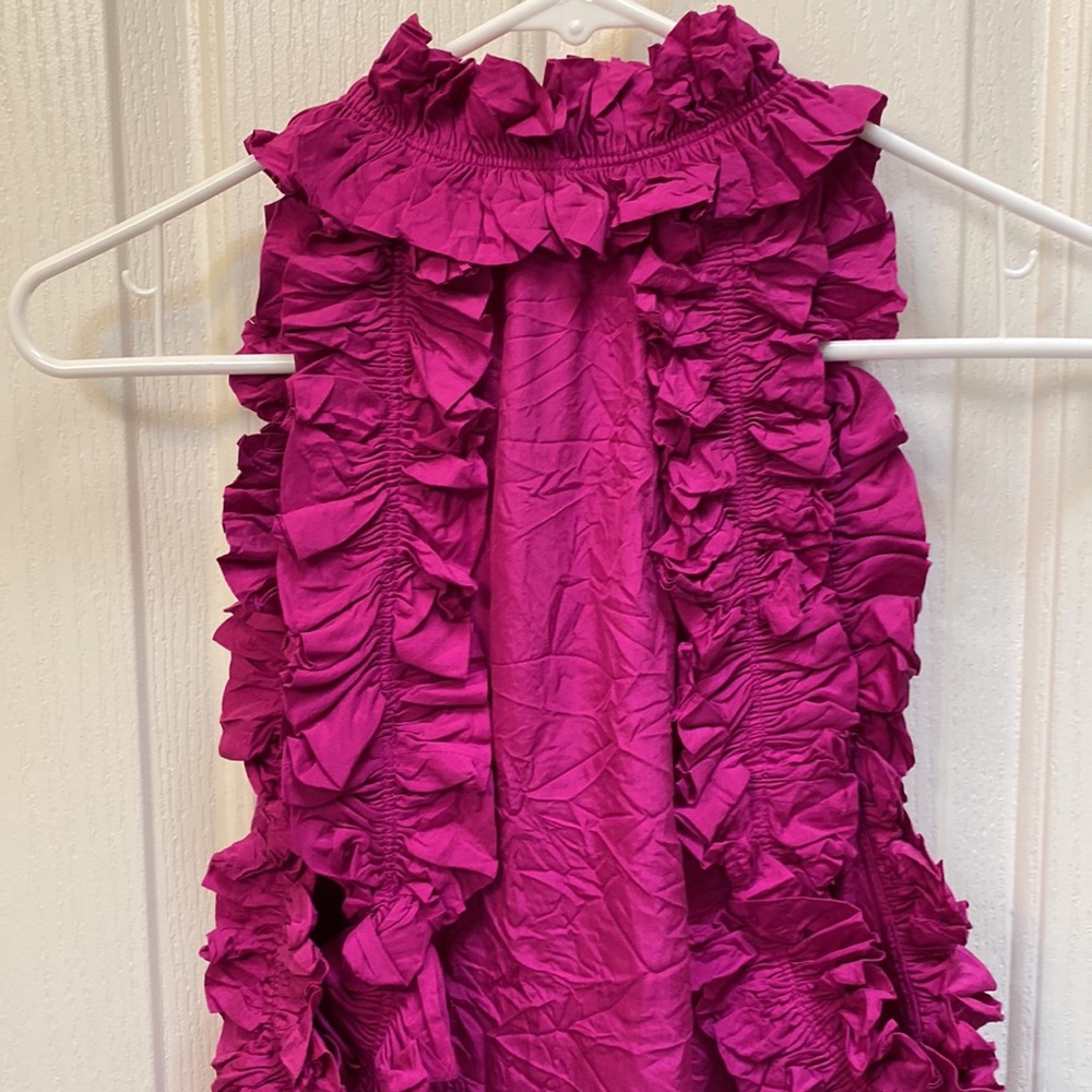 Robbi & Nikki Silk Ruffled Tank - Picture 3 of 5